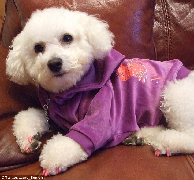 Ӣ��С�������������ö�������