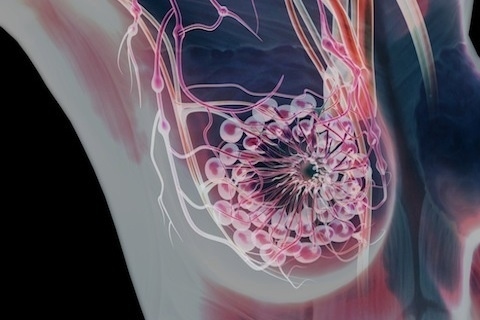 ��̾������ҽѧ3D������ͼ ����ͼƬ