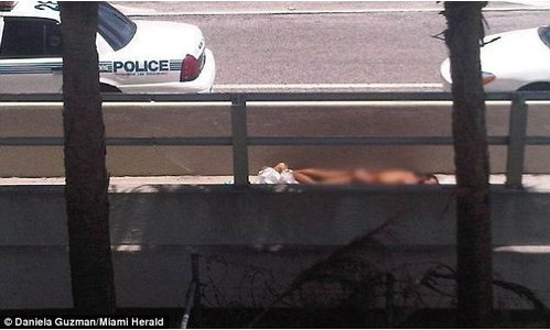 �ֲ�����ʳ���п�ʳ���� ���˰�ɥʬ��Ϯ