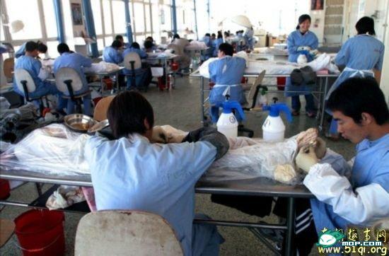 ʬ�岩��� ����ʬ��ӹ��ֳ� ��С���룡