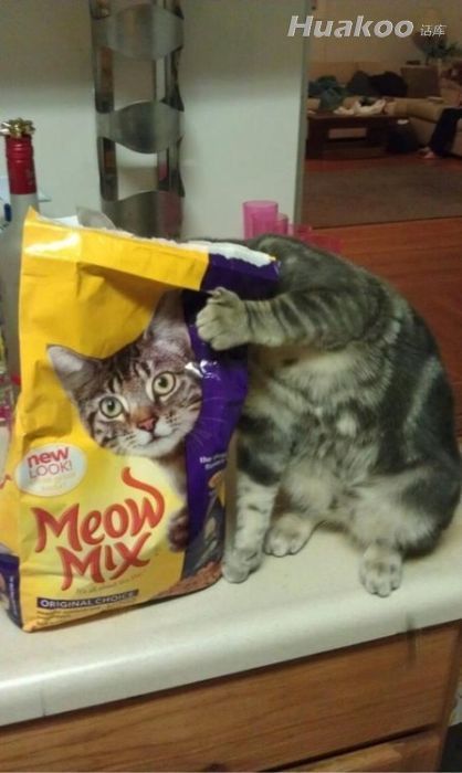 ��ЦͼҲ�ܴ̼� ���ܲ���