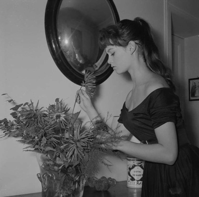 ���編����ɫ���� �������ǣ���ͼ��