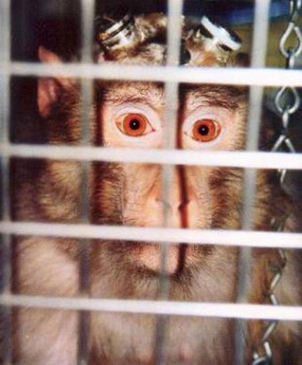 ���أ��Ҳ��̶õĶ���ʵ�����Ƭ��ͼ��