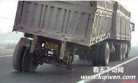 ʷ����ţ˾�� ������������������(��ͼ)