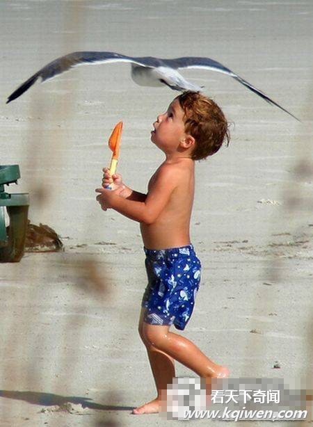 ɳ̲�����������˲���