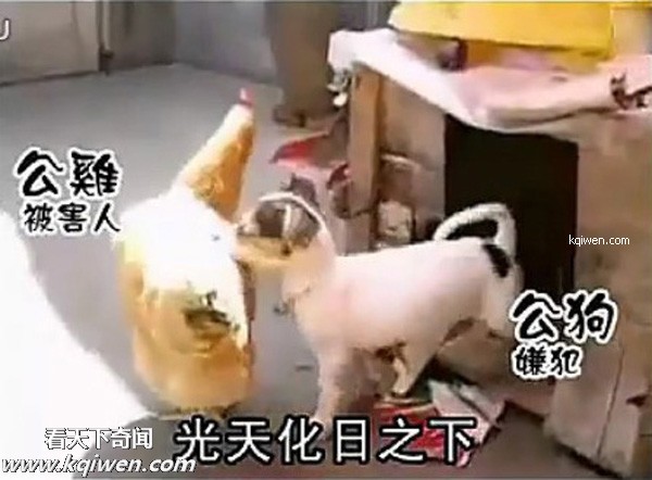 ��ɫС�������컯�����Ｆ(��ͼ)