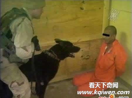 几十张美军虐囚照片大曝光 裸体虐俘触目惊心(组图)