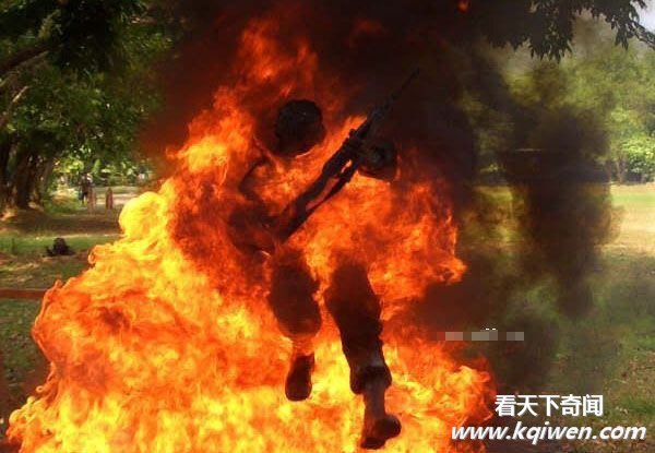 ʵ��̩���������ӵ�ħ��ѵ��ȫ���Ű�ֳ�(��ͼ)