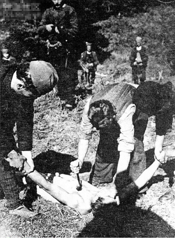 ��ս����ά��α��ɱ��ȡ��������Ƭ�ع� �����о�(��ͼ)